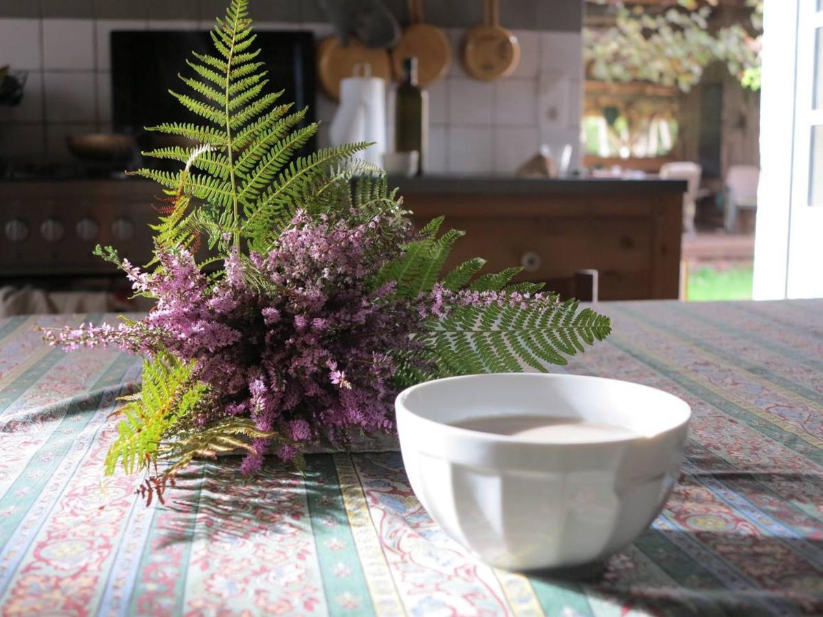 Les Jardins D'Atyoula Losse Ngoại thất bức ảnh
